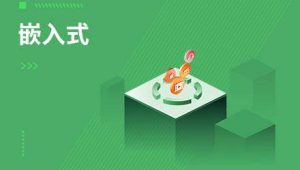 嵌入式物联网开发工程师 资料完整