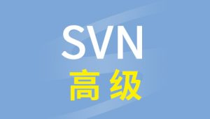 硅谷SVN高级视频