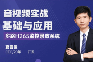 C++音视频实战-FFmpeg基础到工程-多路H265监控录放开发